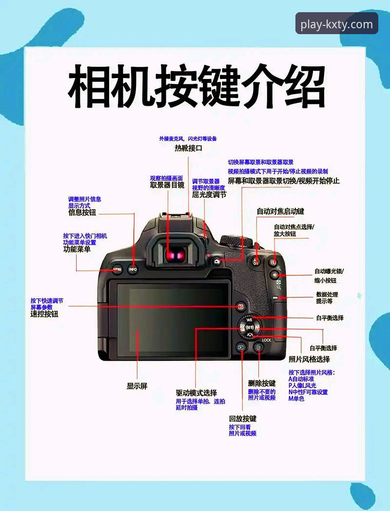 如何安全完成开心体育APP免费下载？新手必看完整操作指南