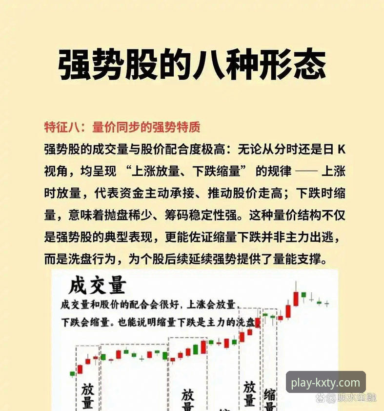 开心体育APP老版本下载官方下载全面解析：实战派教你避开下载陷阱