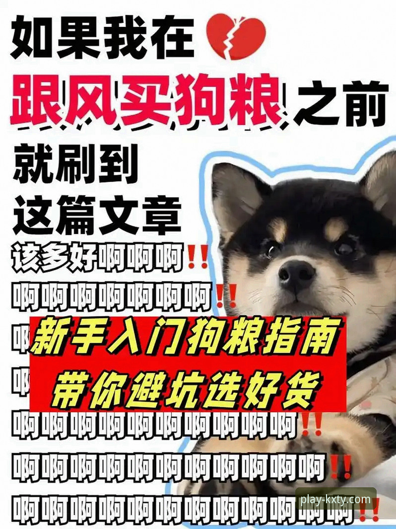 开心体育APP是否值得下载？老用户分享的实用避坑指南